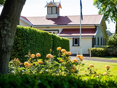image shows yellow roses in bloom by a historical homestead